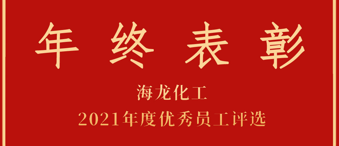 <strong>表彰！海龍化工2021年度優(yōu)秀員工優(yōu)秀部門評選</strong>