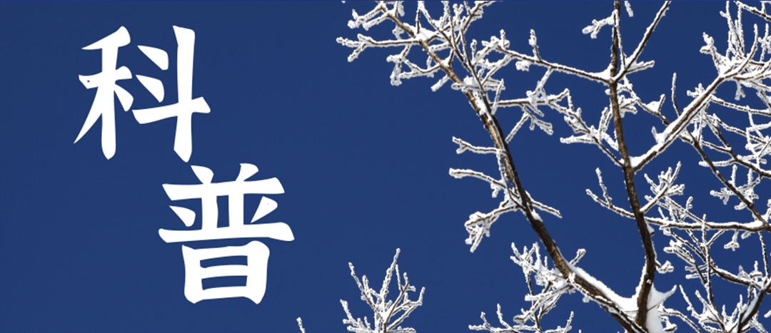 科普 | 冬季雨雪天氣?；愤\(yùn)輸車輛注意事項(xiàng)